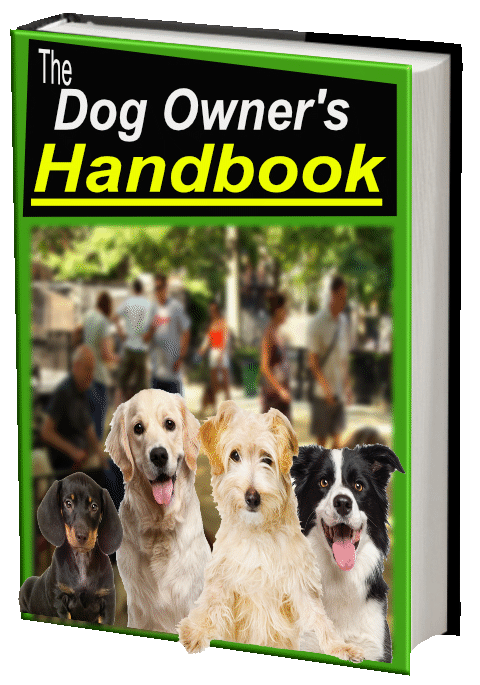 The Dog Owner's Handbook